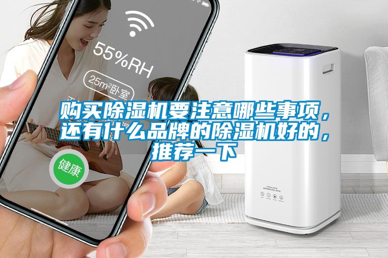 購買除濕機(jī)要注意哪些事項(xiàng)，還有什么品牌的除濕機(jī)好的，推薦一下
