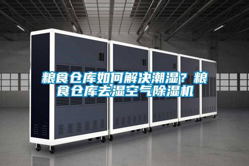 糧食倉庫如何解決潮濕？糧食倉庫去濕空氣除濕機(jī)