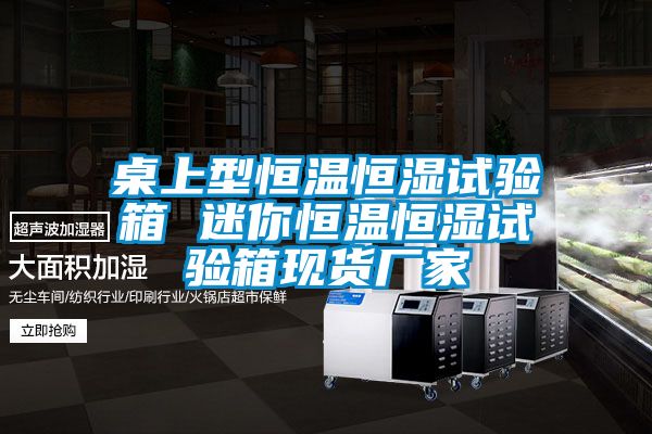 桌上型恒溫恒濕試驗箱 迷你恒溫恒濕試驗箱現(xiàn)貨廠家
