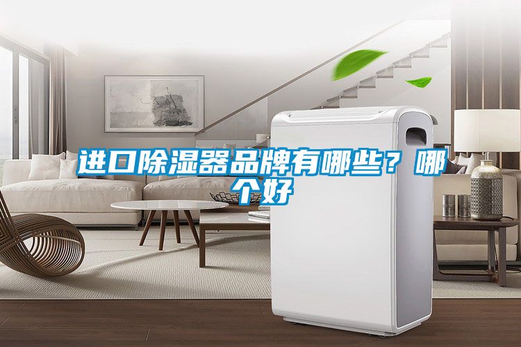 進口除濕器品牌有哪些？哪個好