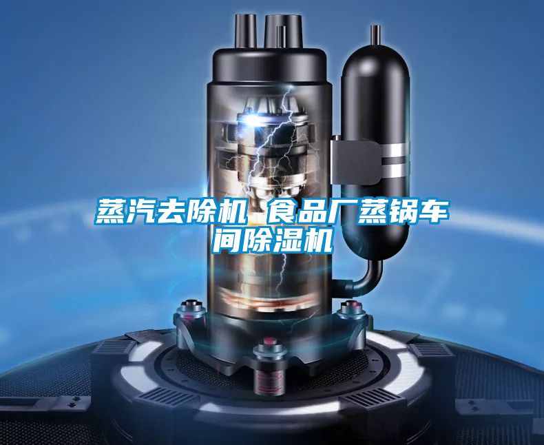 蒸汽去除機(jī) 食品廠蒸鍋車(chē)間除濕機(jī)
