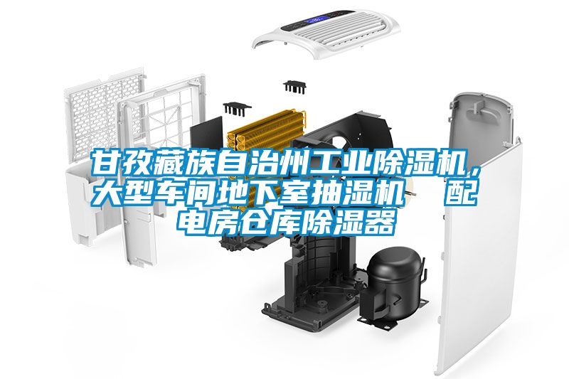 甘孜藏族自治州工業(yè)除濕機(jī)，大型車間地下室抽濕機(jī)  配電房倉庫除濕器