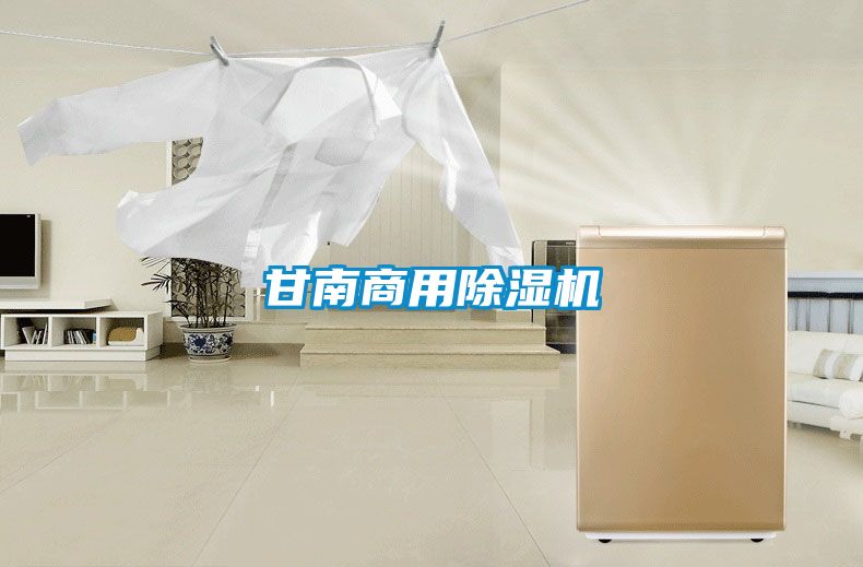 甘南商用除濕機(jī)