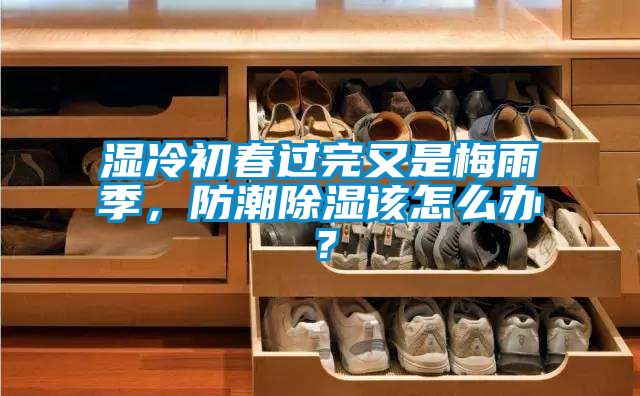 濕冷初春過完又是梅雨季，防潮除濕該怎么辦？