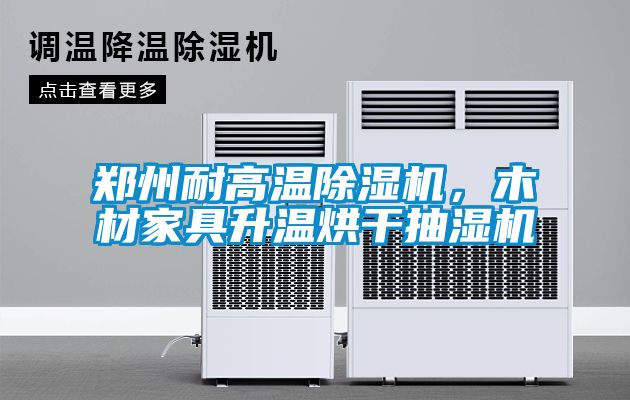 鄭州耐高溫除濕機，木材家具升溫烘干抽濕機