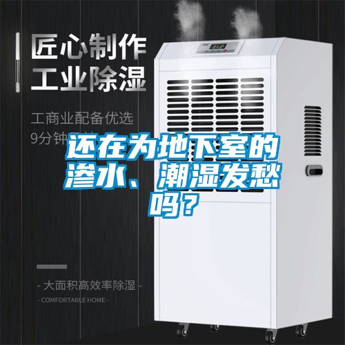 還在為地下室的滲水、潮濕發(fā)愁嗎？