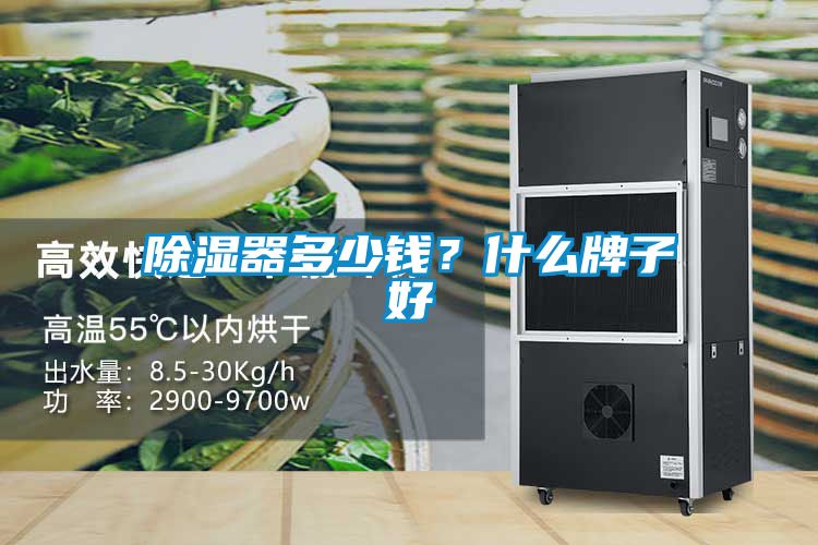除濕器多少錢？什么牌子好