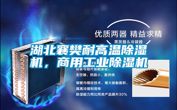 湖北襄樊耐高溫除濕機(jī)，商用工業(yè)除濕機(jī)