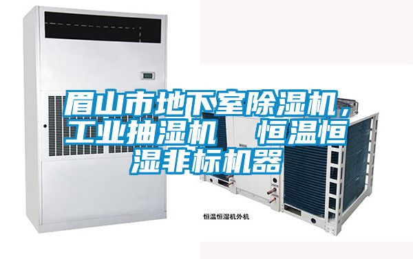 眉山市地下室除濕機，工業(yè)抽濕機  恒溫恒濕非標(biāo)機器