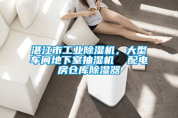 湛江市工業(yè)除濕機，大型車間地下室抽濕機  配電房倉庫除濕器