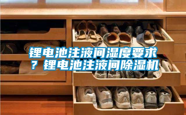 鋰電池注液間濕度要求？鋰電池注液間除濕機