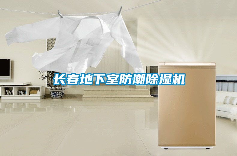 長春地下室防潮除濕機