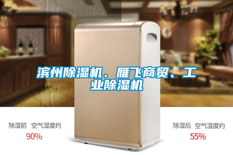 濱州除濕機(jī)、雁飛商貿(mào)、工業(yè)除濕機(jī)