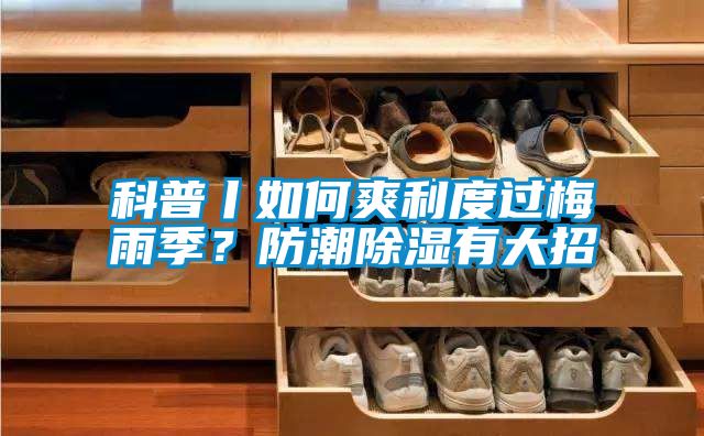 科普丨如何爽利度過梅雨季？防潮除濕有大招
