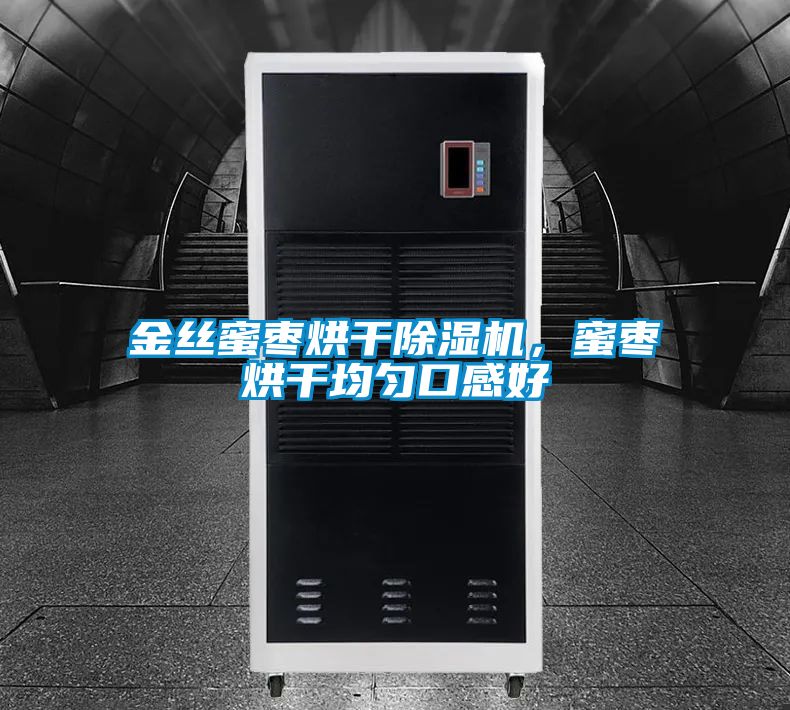 金絲蜜棗烘干除濕機(jī)，蜜棗烘干均勻口感好