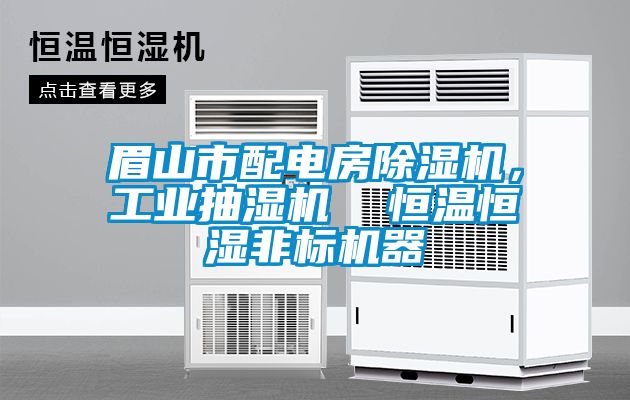 眉山市配電房除濕機，工業(yè)抽濕機  恒溫恒濕非標(biāo)機器