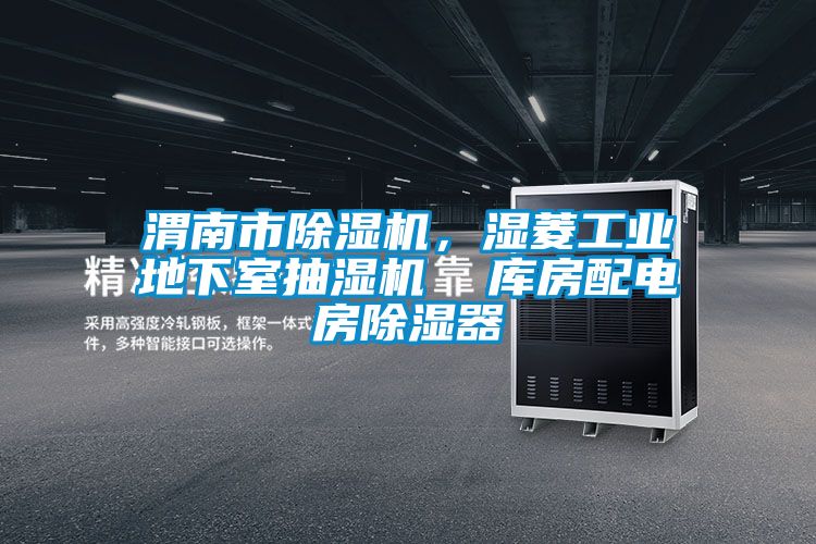 渭南市除濕機，濕菱工業(yè)地下室抽濕機  庫房配電房除濕器