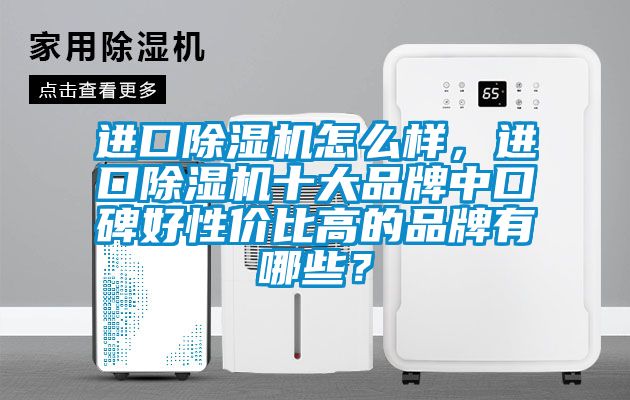 進口除濕機怎么樣，進口除濕機十大品牌中口碑好性價比高的品牌有哪些？