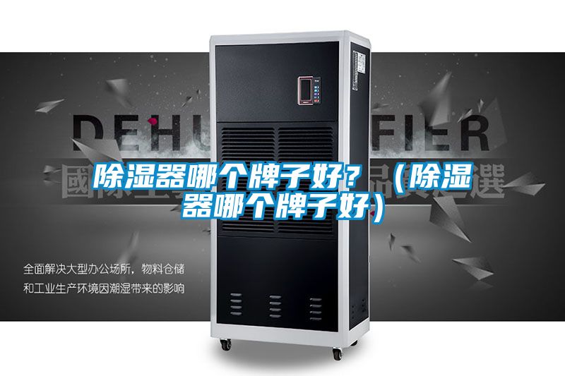 除濕器哪個(gè)牌子好？（除濕器哪個(gè)牌子好）