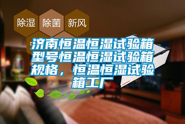 濟南恒溫恒濕試驗箱型號恒溫恒濕試驗箱規格，恒溫恒濕試驗箱工廠