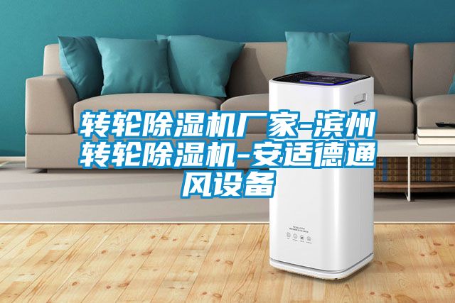 轉(zhuǎn)輪除濕機廠家-濱州轉(zhuǎn)輪除濕機-安適德通風(fēng)設(shè)備