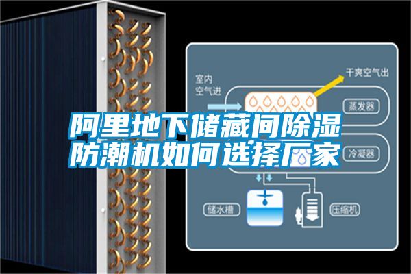 阿里地下儲(chǔ)藏間除濕防潮機(jī)如何選擇廠(chǎng)家