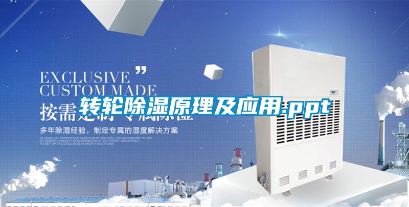 轉(zhuǎn)輪除濕原理及應用.ppt