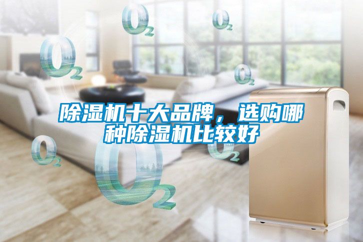 除濕機(jī)十大品牌，選購(gòu)哪種除濕機(jī)比較好