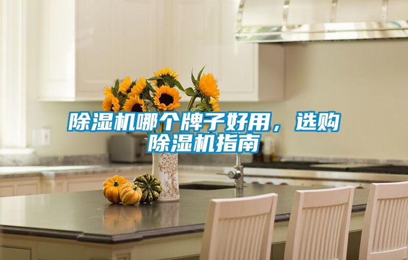 除濕機哪個牌子好用，選購除濕機指南