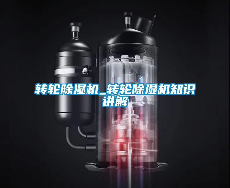 轉(zhuǎn)輪除濕機_轉(zhuǎn)輪除濕機知識講解