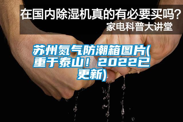 蘇州氮氣防潮箱圖片(重于泰山！2022已更新)