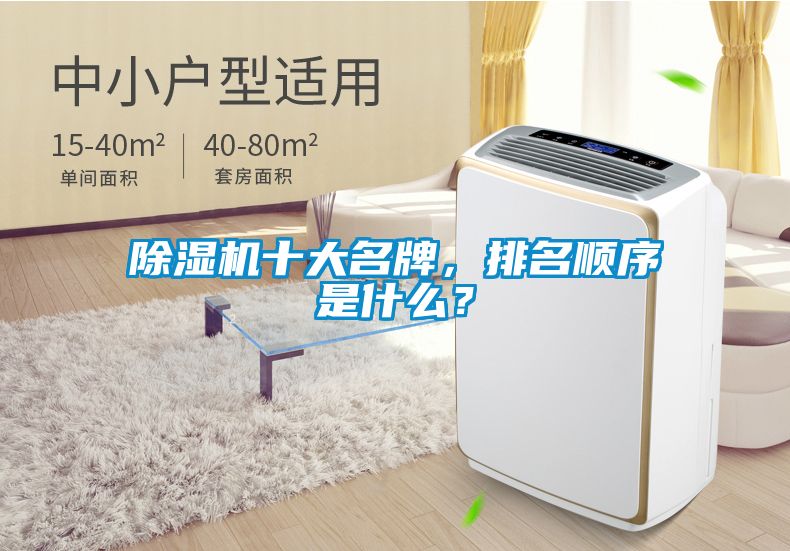 除濕機十大名牌，排名順序是什么？