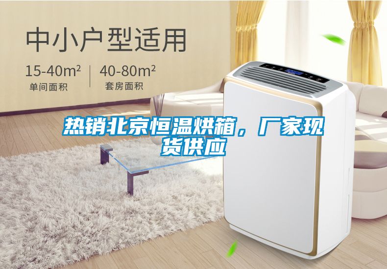 熱銷北京恒溫烘箱，廠家現(xiàn)貨供應