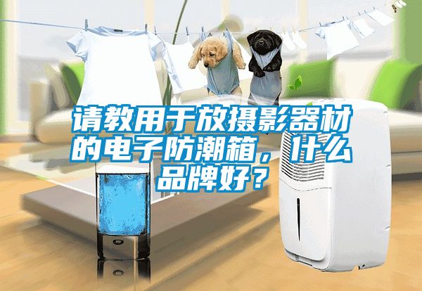 請教用于放攝影器材的電子防潮箱，什么品牌好？