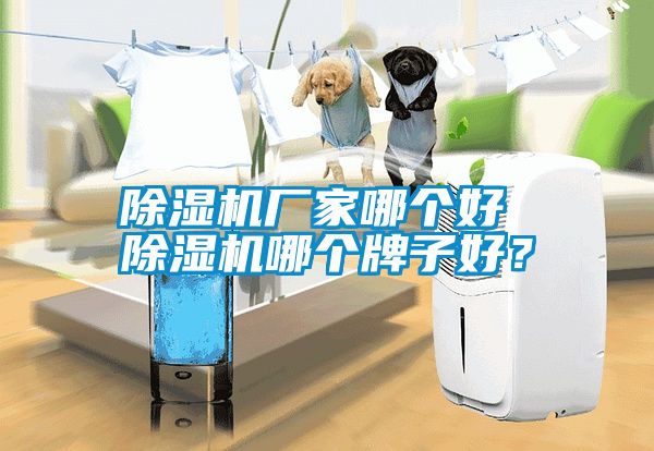除濕機(jī)廠家哪個好 除濕機(jī)哪個牌子好？