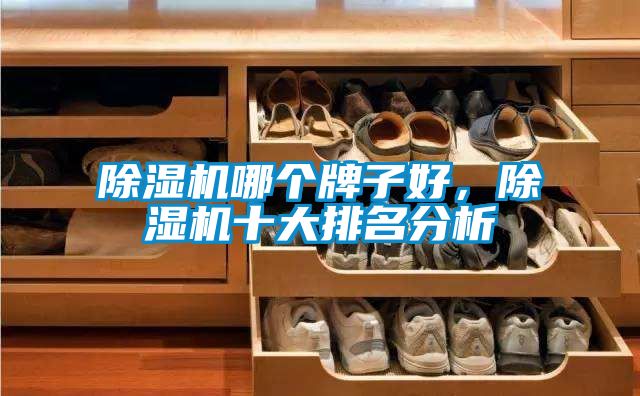 除濕機哪個牌子好，除濕機十大排名分析