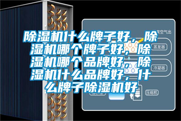 除濕機什么牌子好，除濕機哪個牌子好，除濕機哪個品牌好，除濕機什么品牌好，什么牌子除濕機好