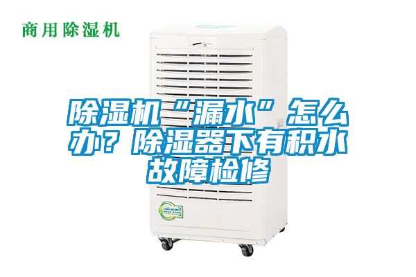 除濕機(jī)“漏水”怎么辦？除濕器下有積水故障檢修