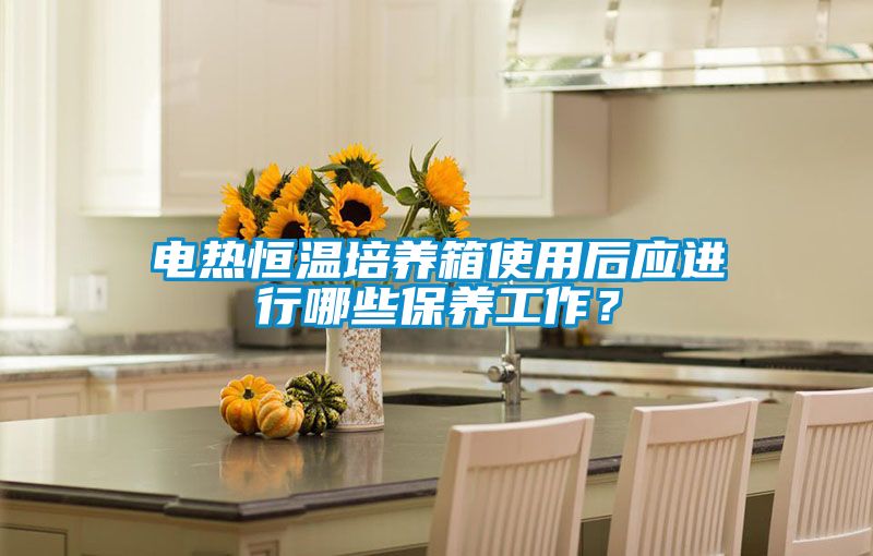 電熱恒溫培養(yǎng)箱使用后應進行哪些保養(yǎng)工作？