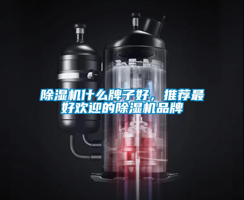 除濕機什么牌子好，推薦最好歡迎的除濕機品牌