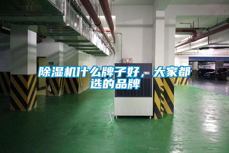 除濕機(jī)什么牌子好，大家都選的品牌