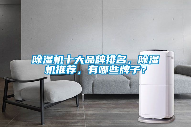 除濕機十大品牌排名，除濕機推薦，有哪些牌子？