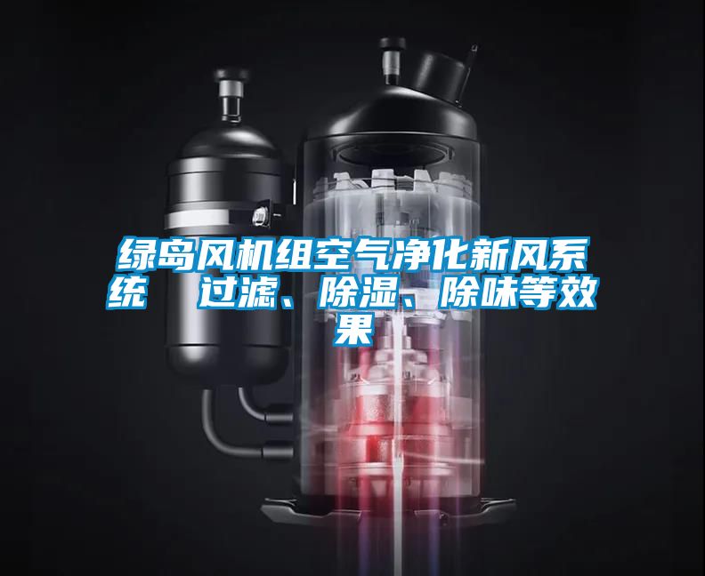 綠島風(fēng)機(jī)組空氣凈化新風(fēng)系統(tǒng)  過(guò)濾、除濕、除味等效果