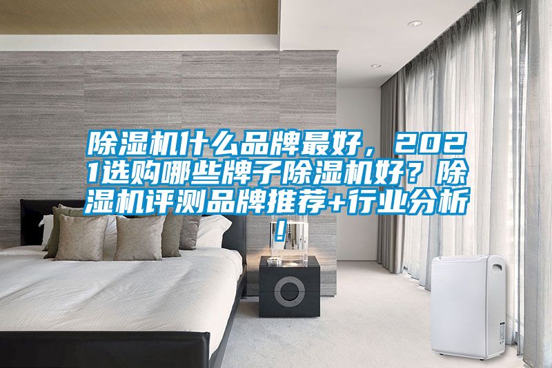 除濕機什么品牌最好，2021選購哪些牌子除濕機好？除濕機評測品牌推薦+行業分析！