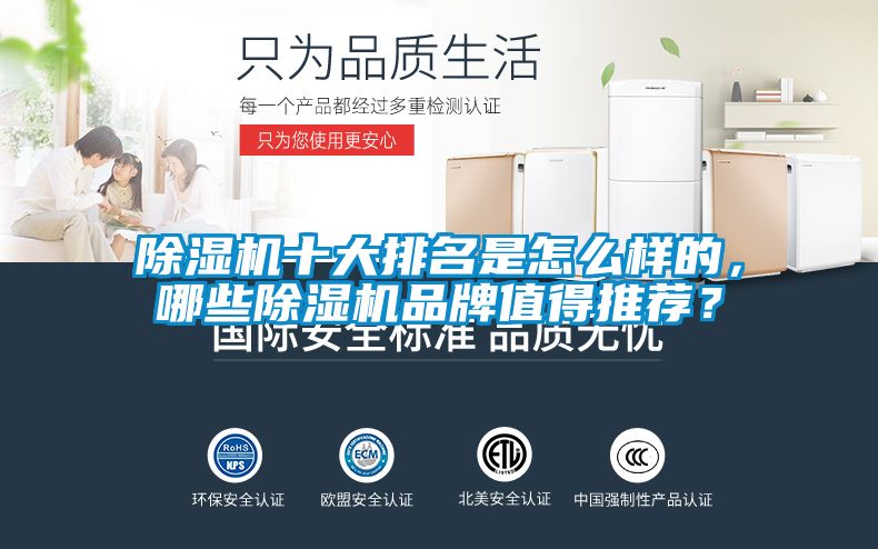 除濕機十大排名是怎么樣的，哪些除濕機品牌值得推薦？