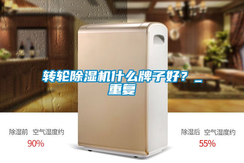 轉輪除濕機什么牌子好？_重復
