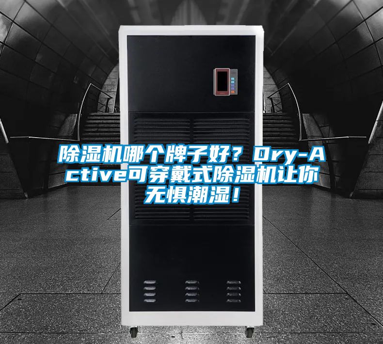 除濕機哪個牌子好？Dry-Active可穿戴式除濕機讓你無懼潮濕！