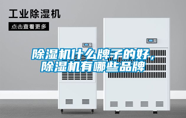 除濕機什么牌子的好，除濕機有哪些品牌