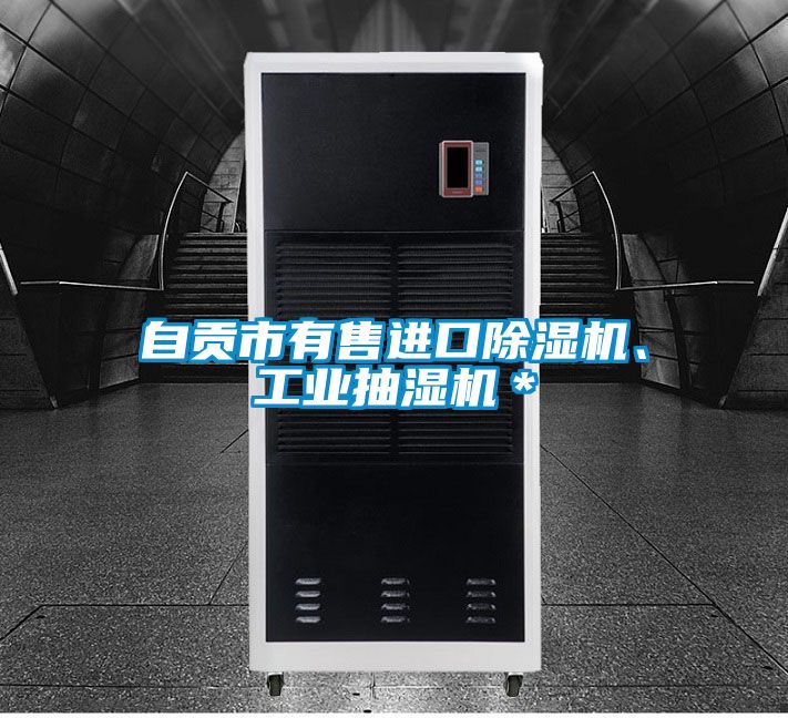 自貢市有售進(jìn)口除濕機(jī)、工業(yè)抽濕機(jī)＊