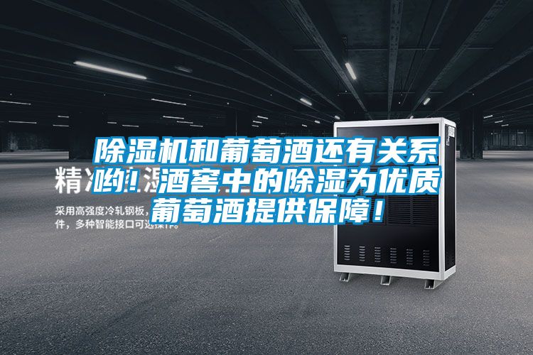 除濕機和葡萄酒還有關系喲！酒窖中的除濕為優(yōu)質葡萄酒提供保障！